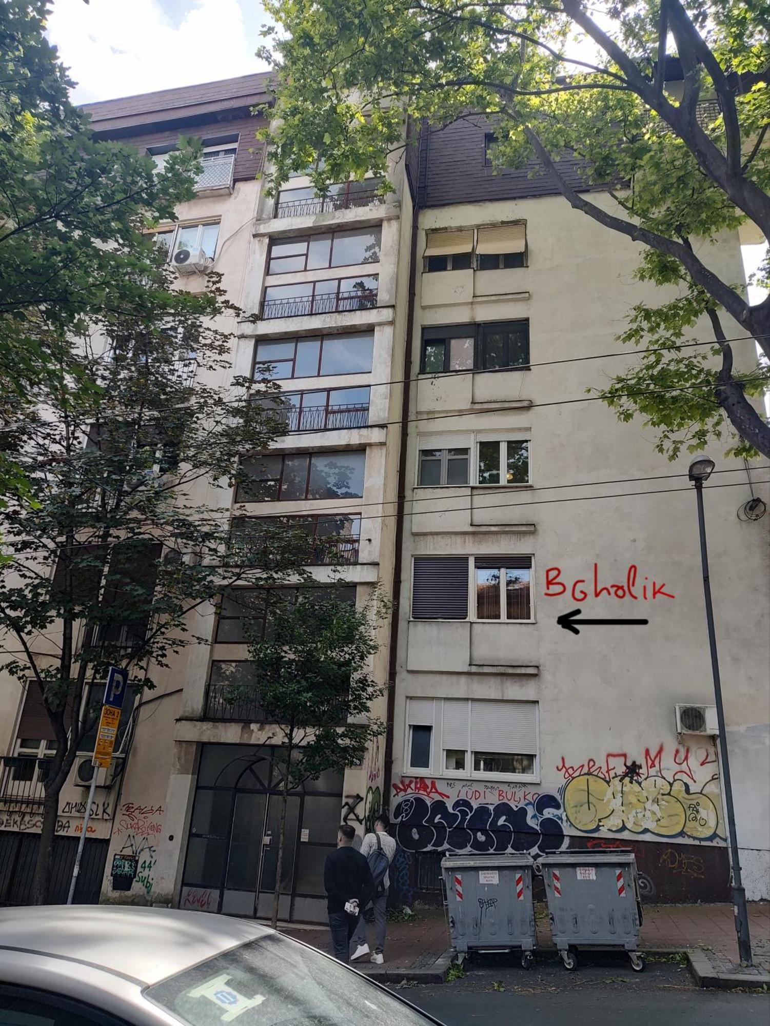 Bgholik Studio Apartment Belgrade Exterior photo